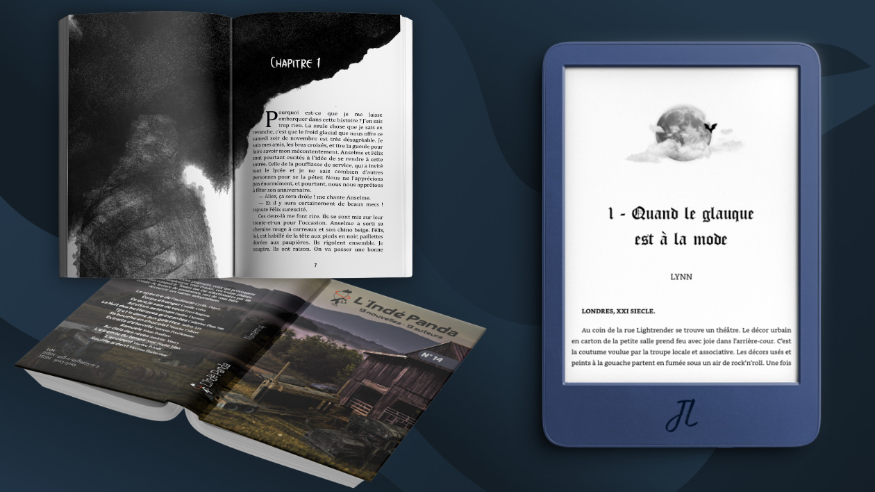 Image avec un aperçu des services (Mise en page papier et numérique et couverture)